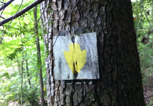 Yahoo Falls, Big South Fork